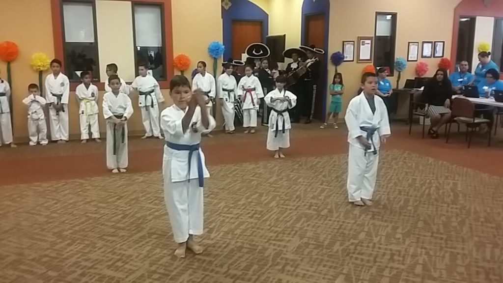 Karate Do School