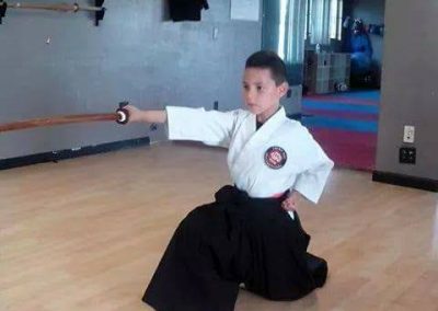 Martial Arts School